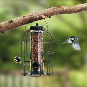 Nature's Market Seed Feeder with Squirrel Guard
