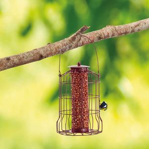 Nature's Market Nut Feeder with Squirrel Guard