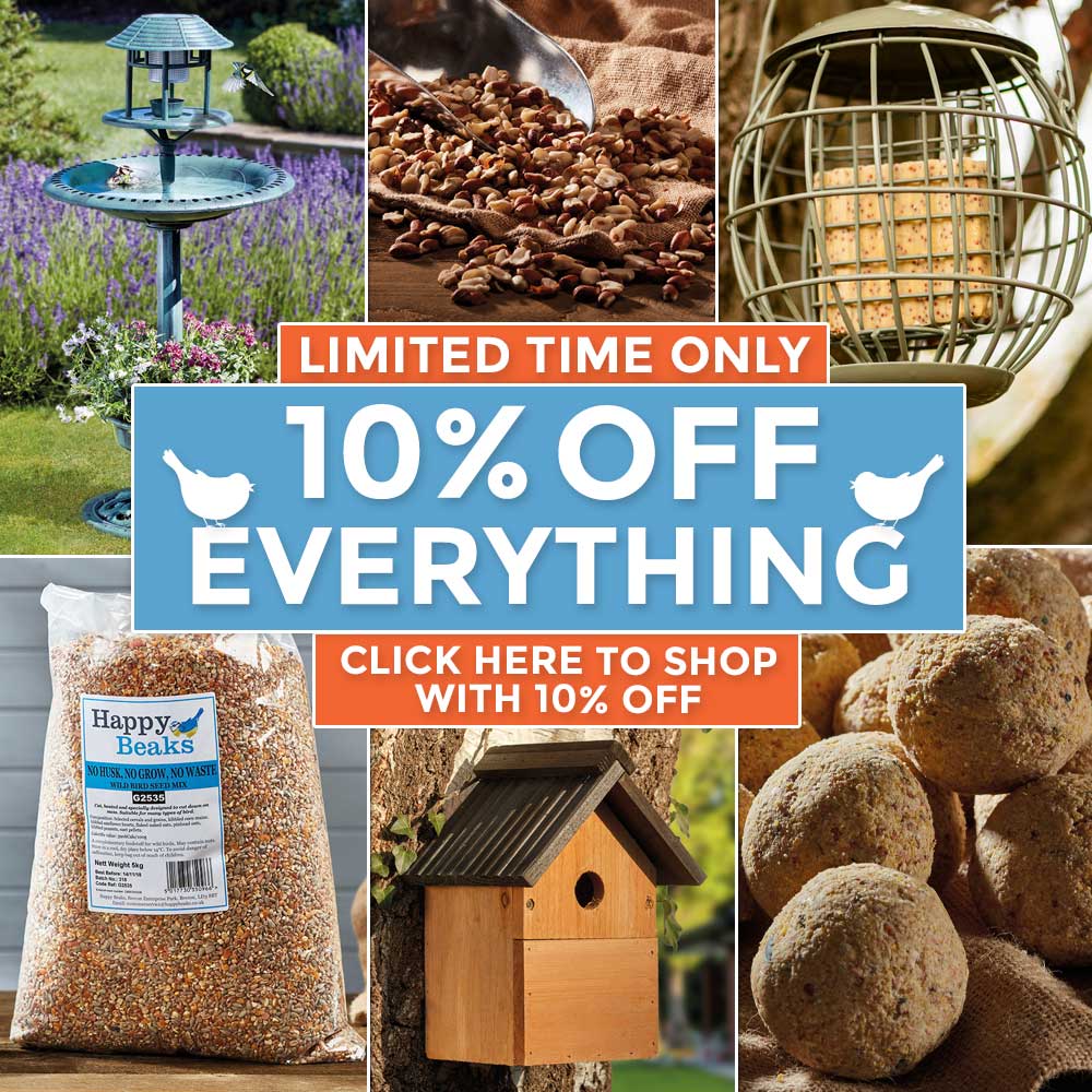 10% OFF EVERYTHING + FREE DELIVERY!