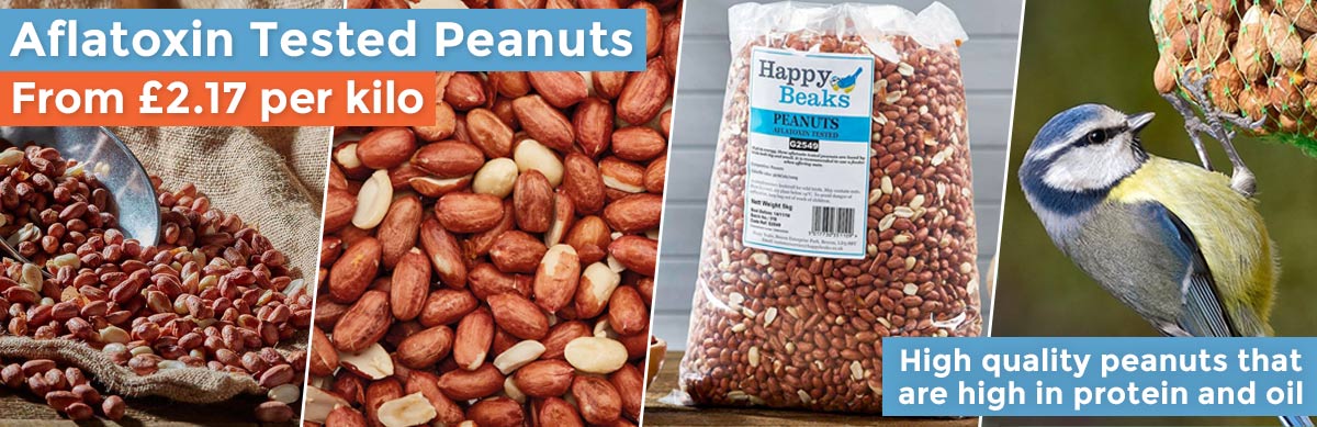 Peanuts
