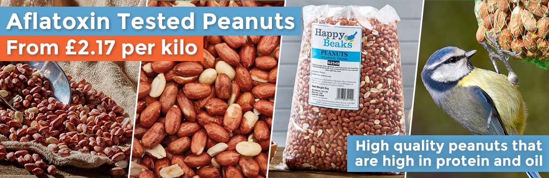 Aflatoxin Tested Peanuts