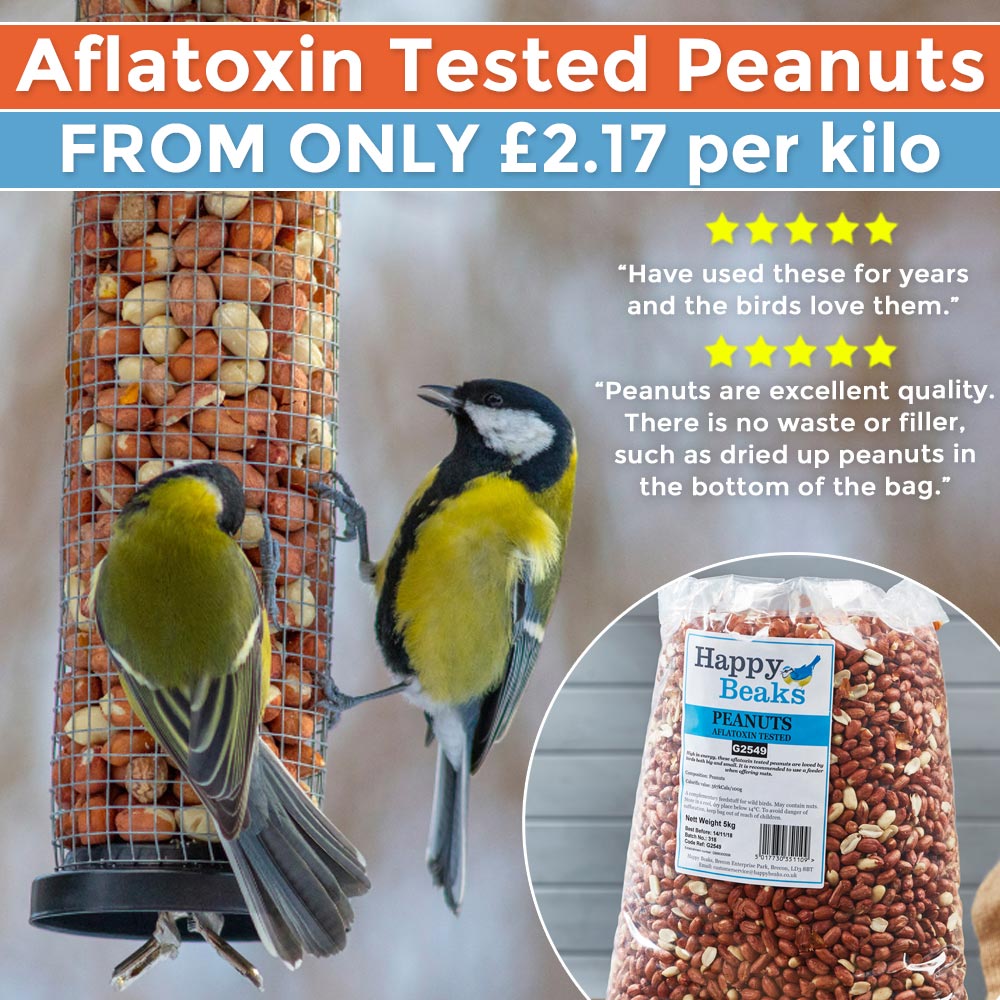 Peanuts
