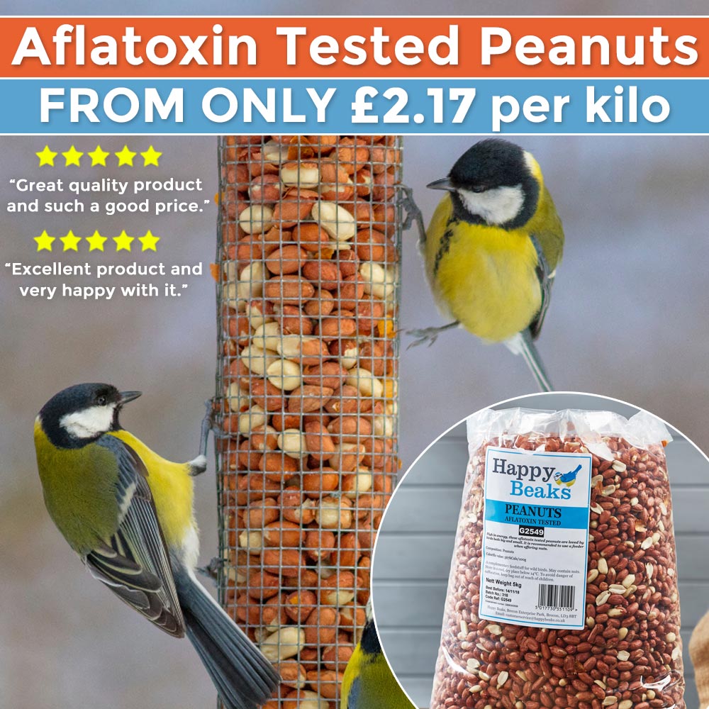 Aflatoxin Tested Peanuts