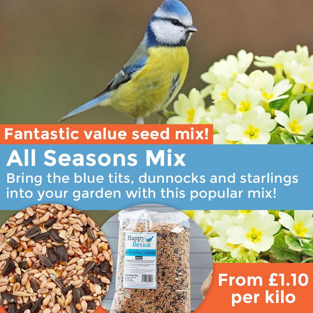 All Seasons Mix