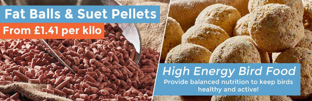 Fat Balls & Suet Pellets