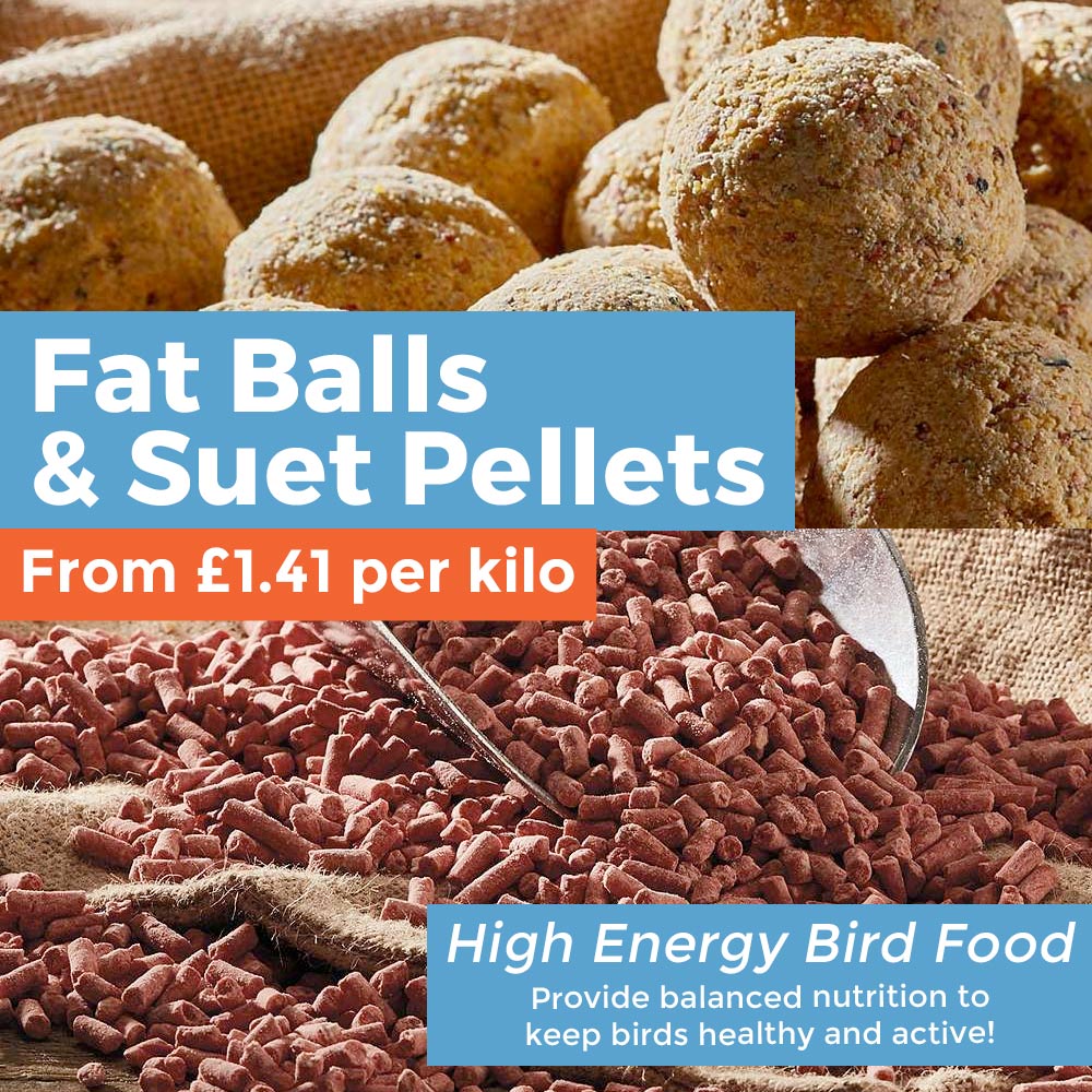 Fat Balls & Suet Pellets