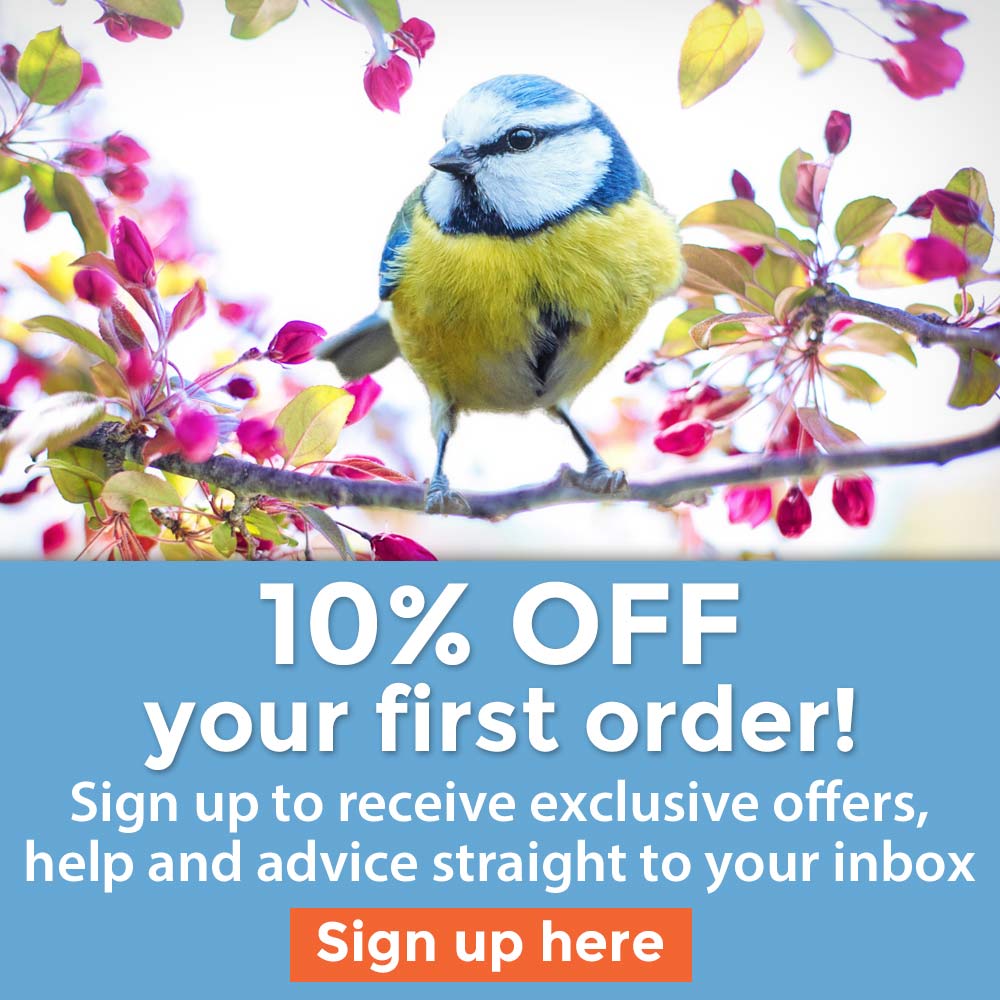10% OFF your first order
