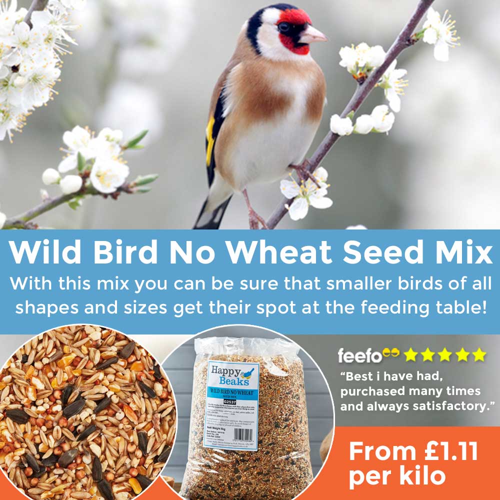 Wild Bird No Wheat Seed Mix