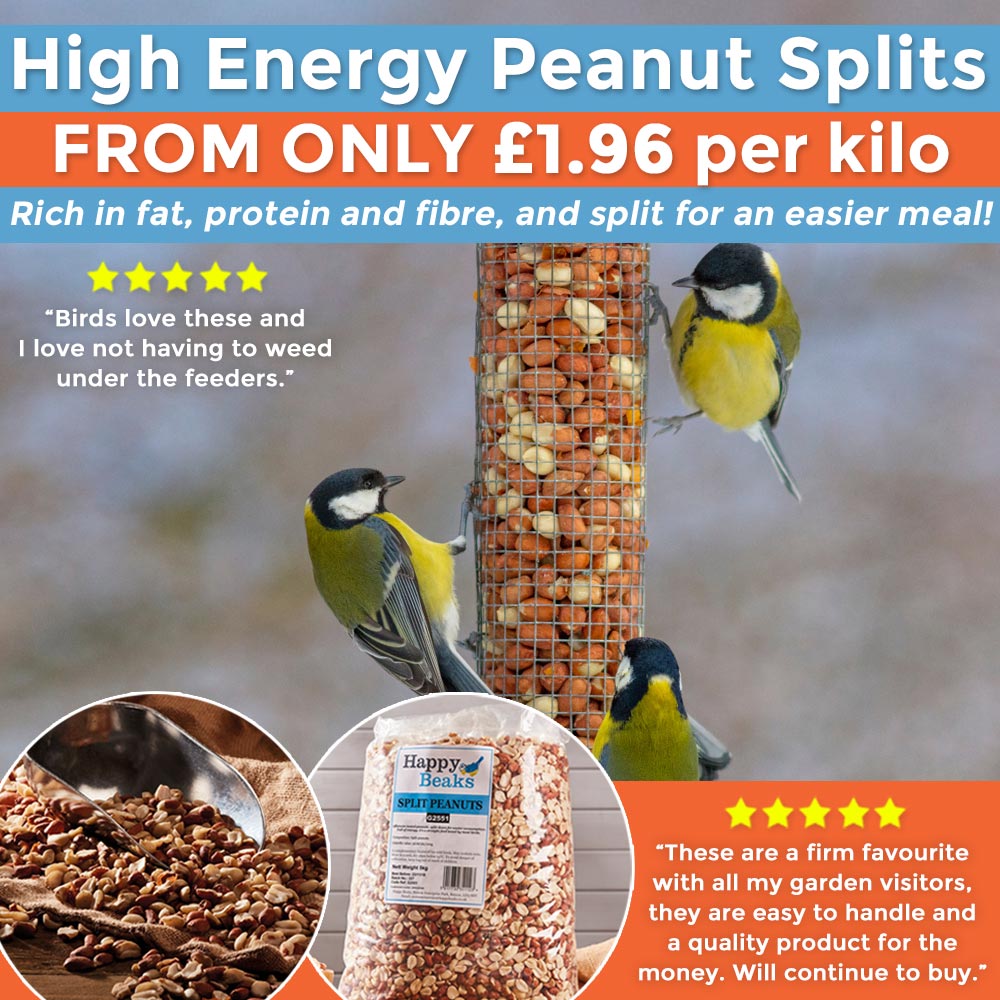 Peanut Splits