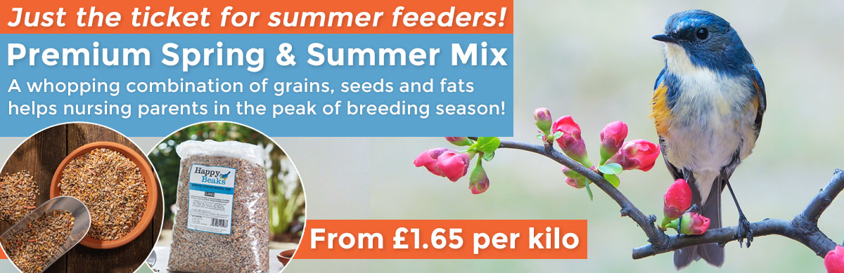 Premium Spring & Summer Mix