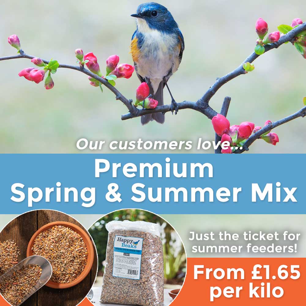 Premium Spring & Summer Mix