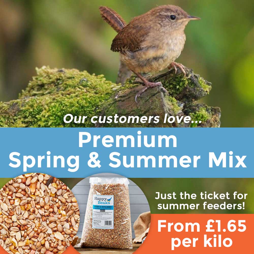 Premium Spring & Summer Mix