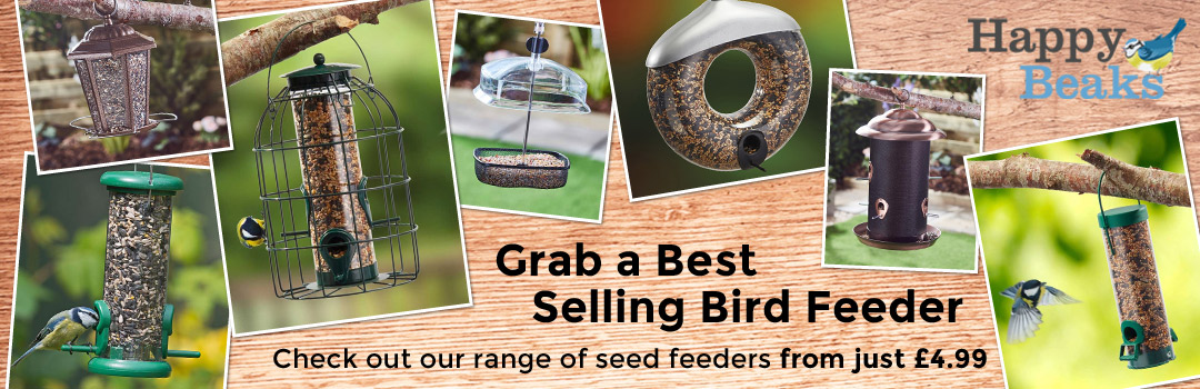 Grab a Best Selling Bird Feeder