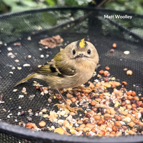 Snap Of The Month