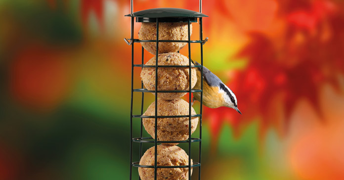 How To Attract Birds To Your Feeding Station