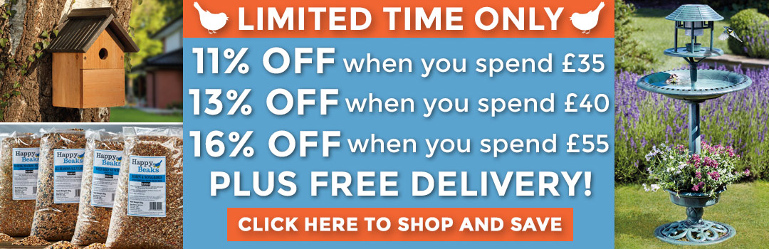16% OFF EVERYTHING!