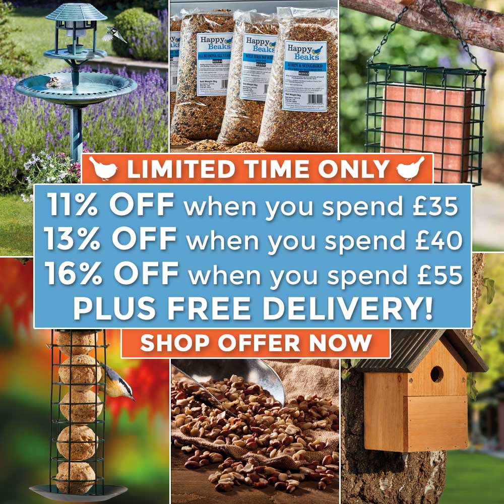 16% OFF EVERYTHING!