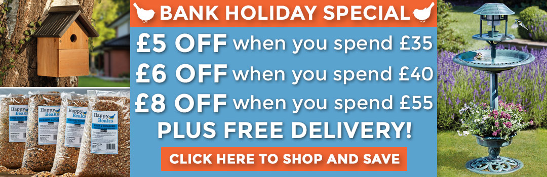 £8 OFF + FREE DELIVERY!