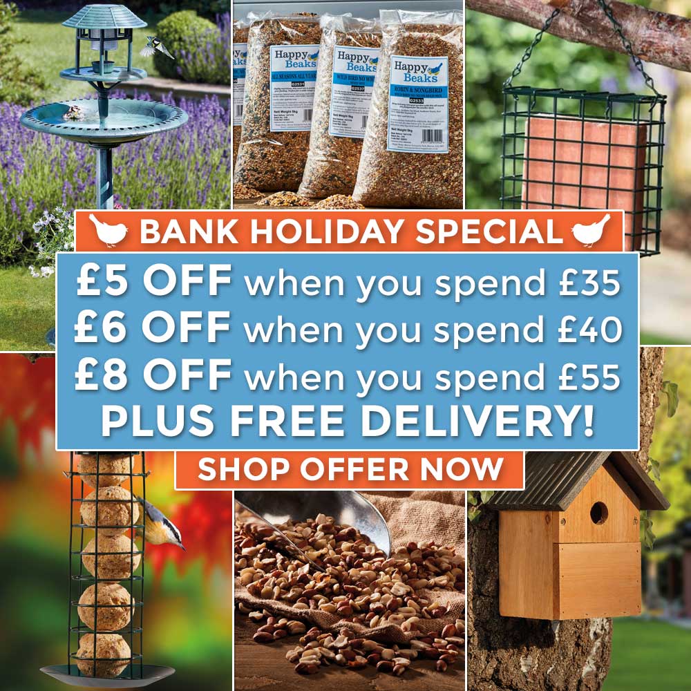 £8 OFF + FREE DELIVERY!