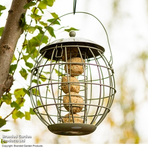 Happy Beaks - Orbital Squirrel Proof Fat Ball Feeder