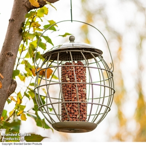 Happy Beaks - Orbital Squirrel Proof Peanut Feeder