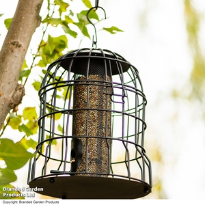 Happy Beaks - Heavy Duty Squirrel Proof Peanut Feeder