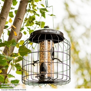 Happy Beaks - Heavy Duty Squirrel Proof Seed Feeder
