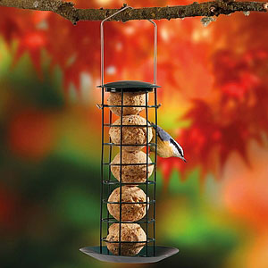 Bird Feeders