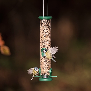 Jacobi Jayne Ring Pull Seed Medium Feeder 4 port