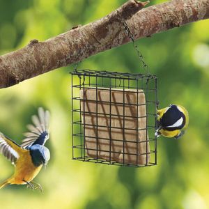 Nature's Market Suet Cake Bird Feeder