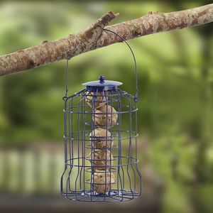 Nature's Market Wild Bird Suet Ball Feeder with Squirrel Guard