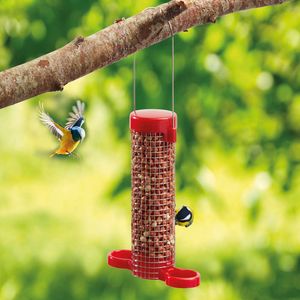 Get Set Go 2 Port Peanut Feeder