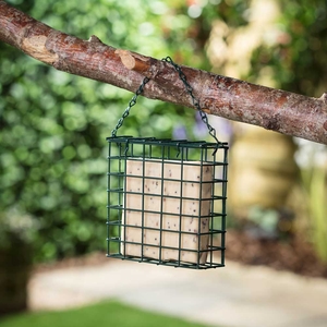 Suet Blocks - Seeded (3 Pack)