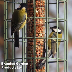 The Nuttery Squirrel-Proof Original Nut Feeder Ocean Green