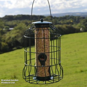 Caged Seed Feeder