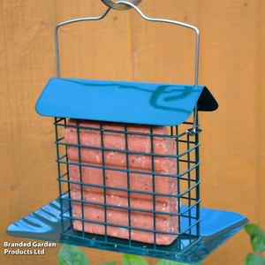 Suet Block Feeder with Tray