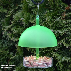 Robin & Small Bird Dome Feeder