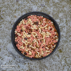 Ground Feeder Table