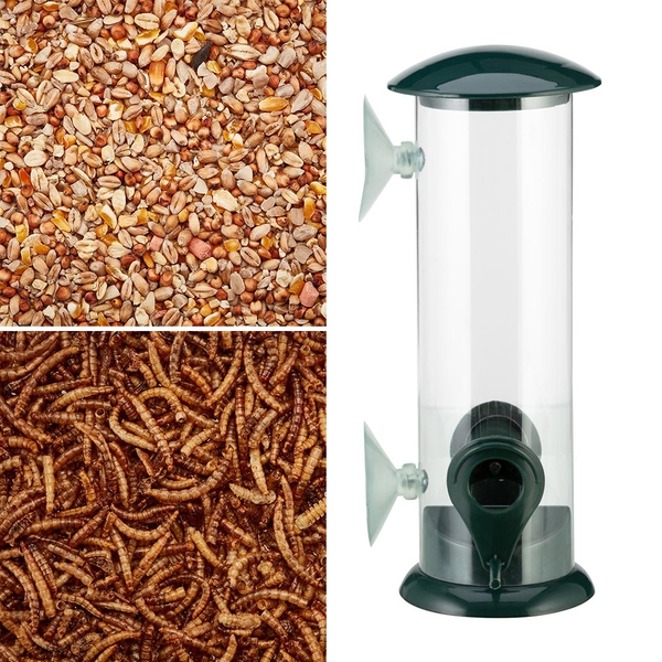 Beginners Birdwatching Bundle