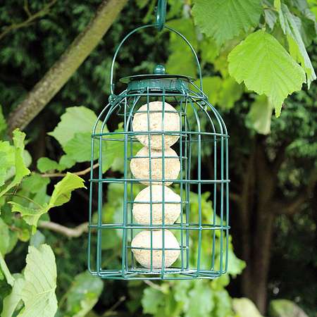 Kingfisher Green Powder Coated Squirrel Guard Fat Ball Feeder