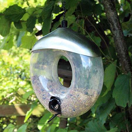 Kingfisher Deluxe Stainless Steel Donut Seed Feeder