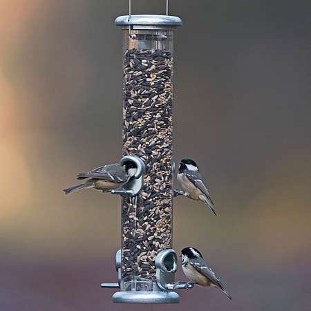 Jacobi Jayne Ring Pull Pro Seed Feeder 4 port