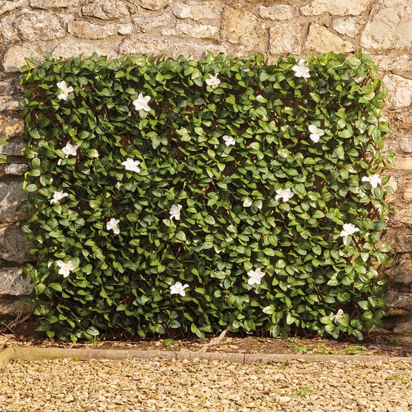 Waltons White Flower Trellis - 1x2m