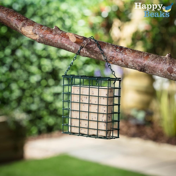 Suet Blocks - Seeded (3 Pack)