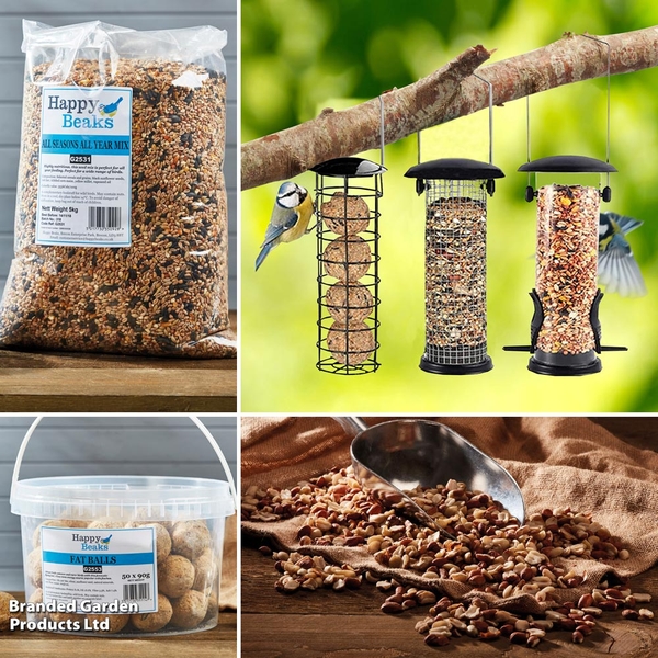 Bird Feeder Triple Pack and Feed Bundle