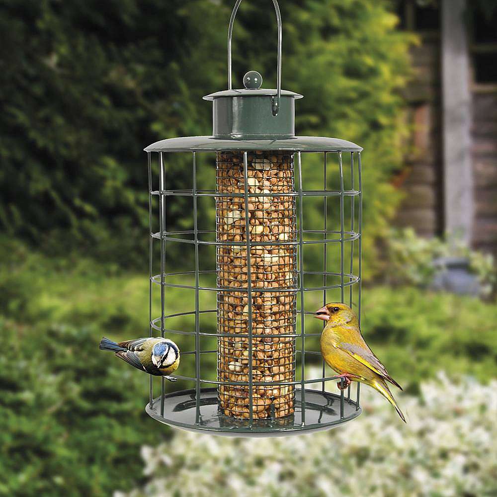 Squirrel proof bird feeders twin pack happy beaks