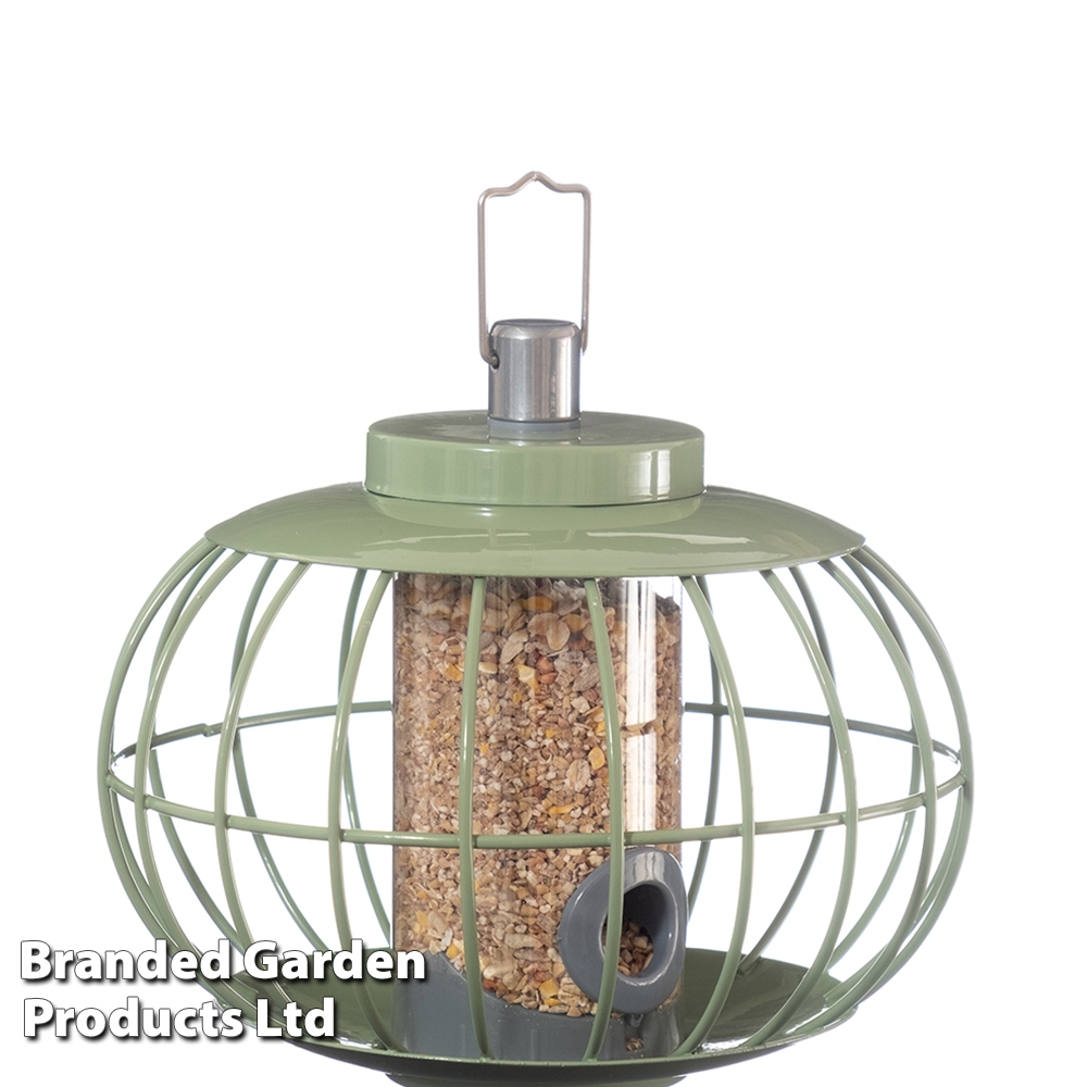 Peckish Window Plastic Clear Bird feeder